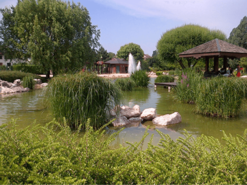 Bassins de loisirs et Parcs d'attractions 8