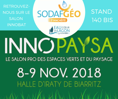 INNOPAYSA 2018